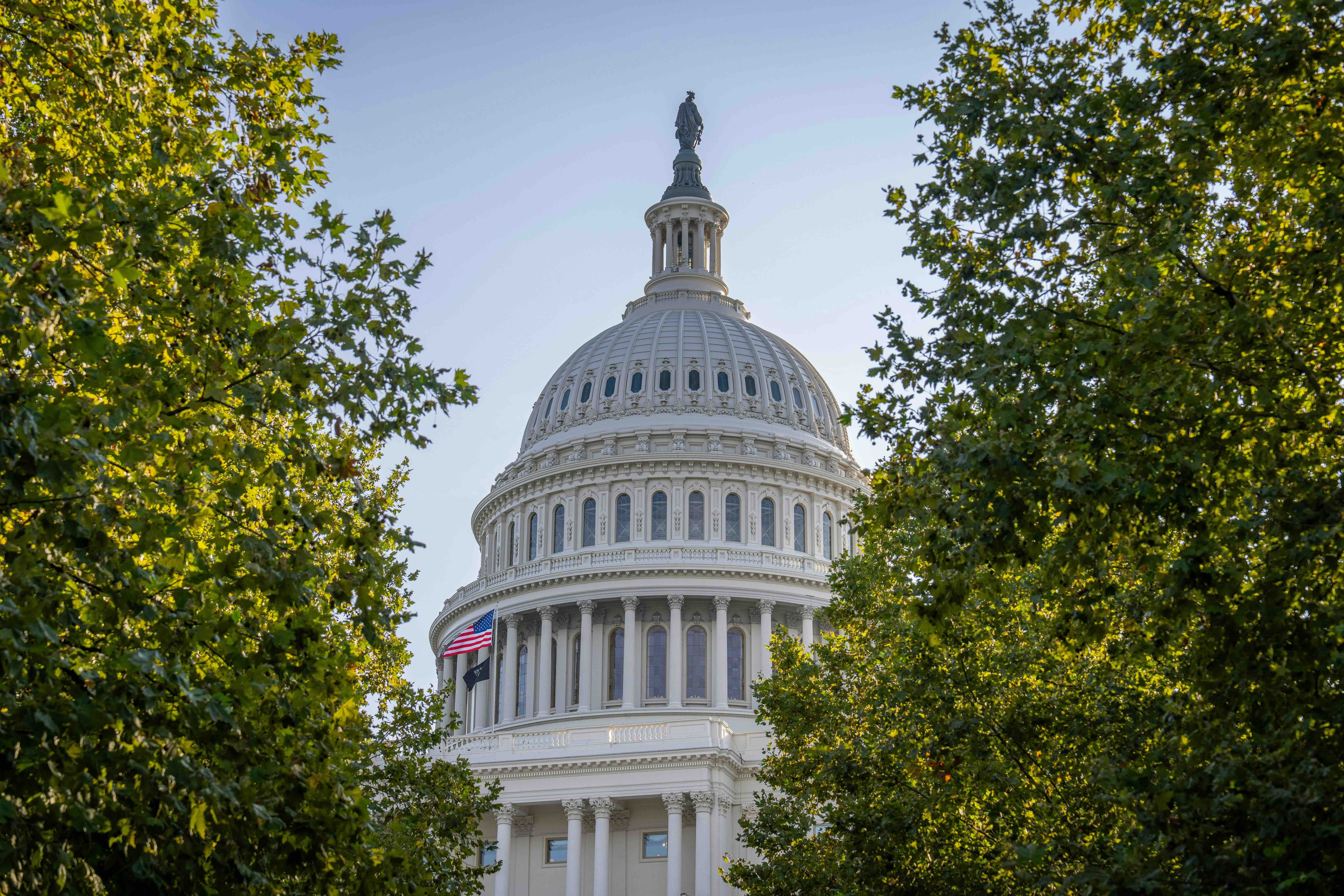 What the 2025 government shutdown means for your business